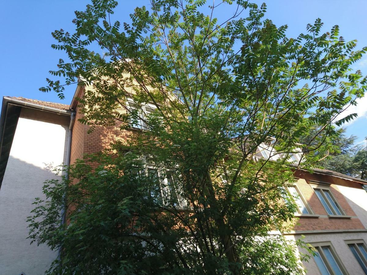 Nest City - Not A Hotel, Private Room With Shared Showers, No Parking, Breakfast, Or Kitchen, Towels Available For A Fee, Check-In 4 Pm To 11 Pm Konstanz Buitenkant foto